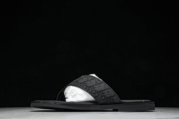 D1R* SLIDE copshoe DR-SLIDE 017