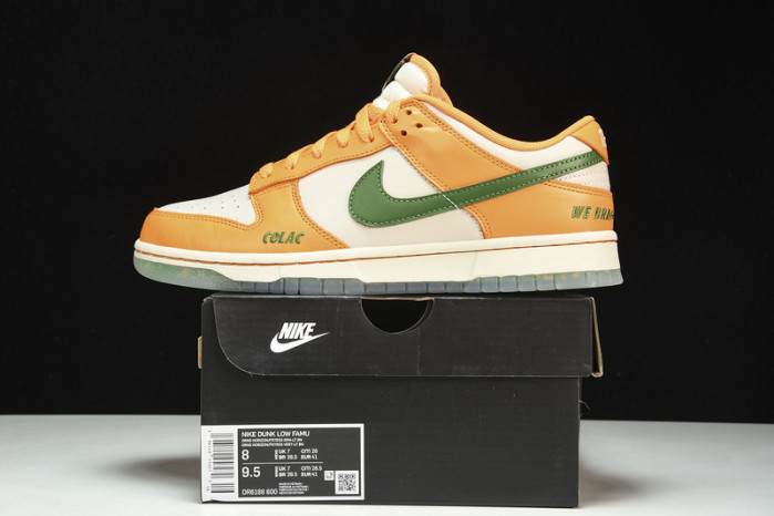 florida a&m x nike dunk low dr6188-800