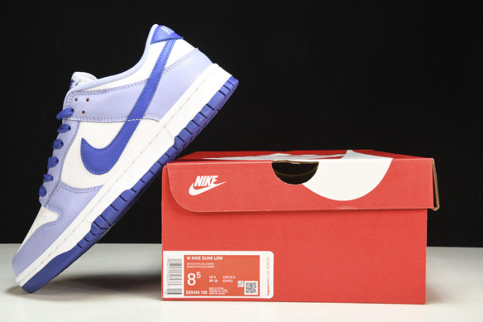 nike dunk low blueberry (gs) - dz4456-100