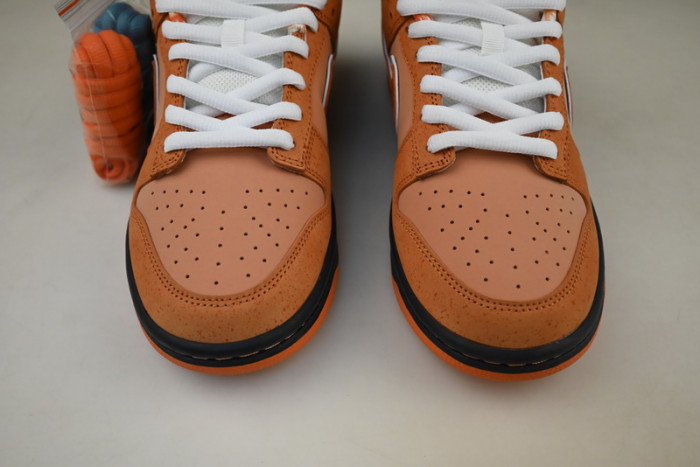 concepts x nike sb dunk low “orange lobster” fd8776-800