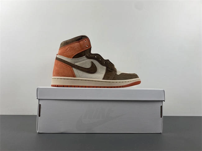Neat Jordan 1 Retro High OG SP Dusted Clay FQ2941- 3651