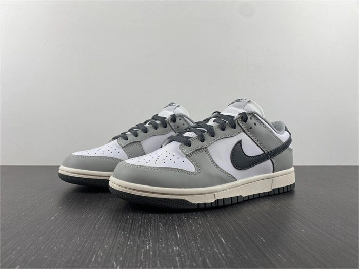 Nike Dunk Low Light Smoke Grey DD1503- Minimalist 4798