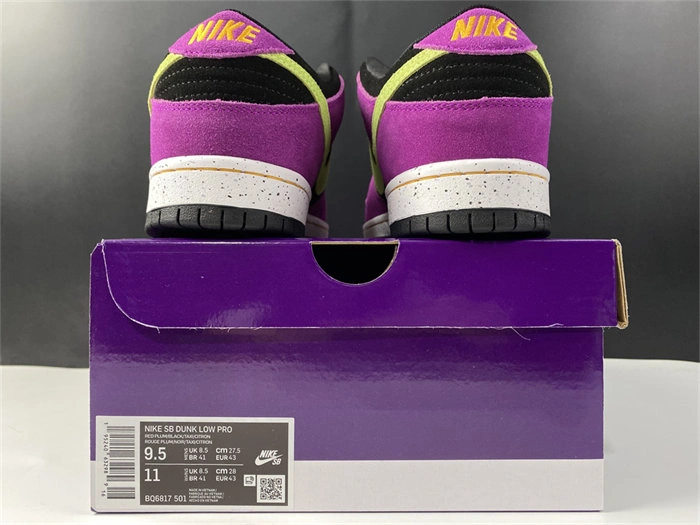 Nike SB Dunk Low Pro ACG Terra Red Plum BQ6817- TravelReady 4905